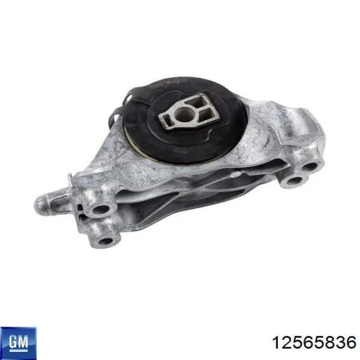 12565836 General Motors Uszczelniacz zaworu dolotowego/wylotowego