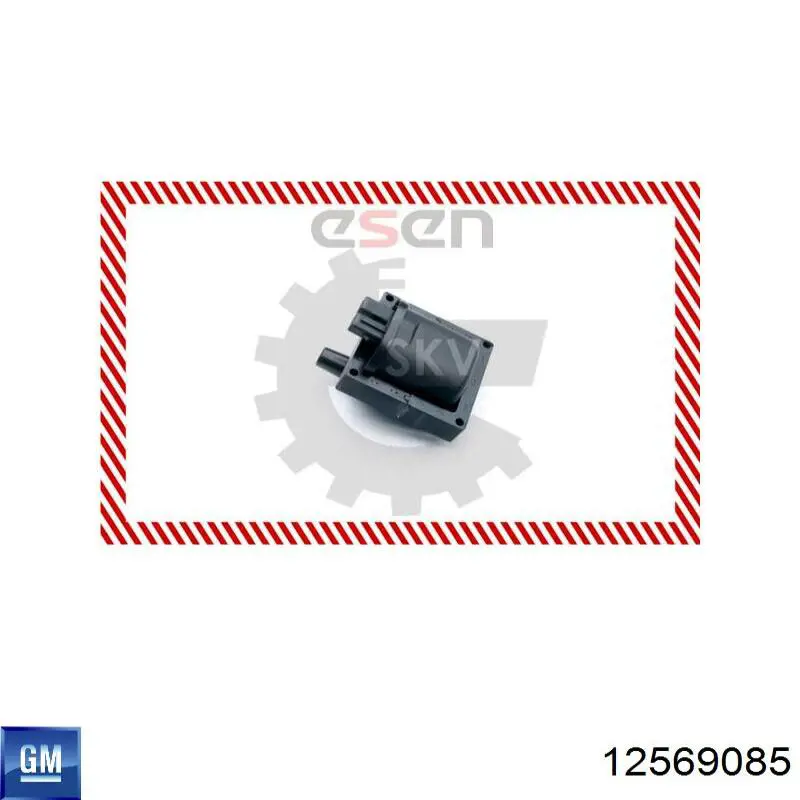 Cewka zapłonowa 12569085 General Motors