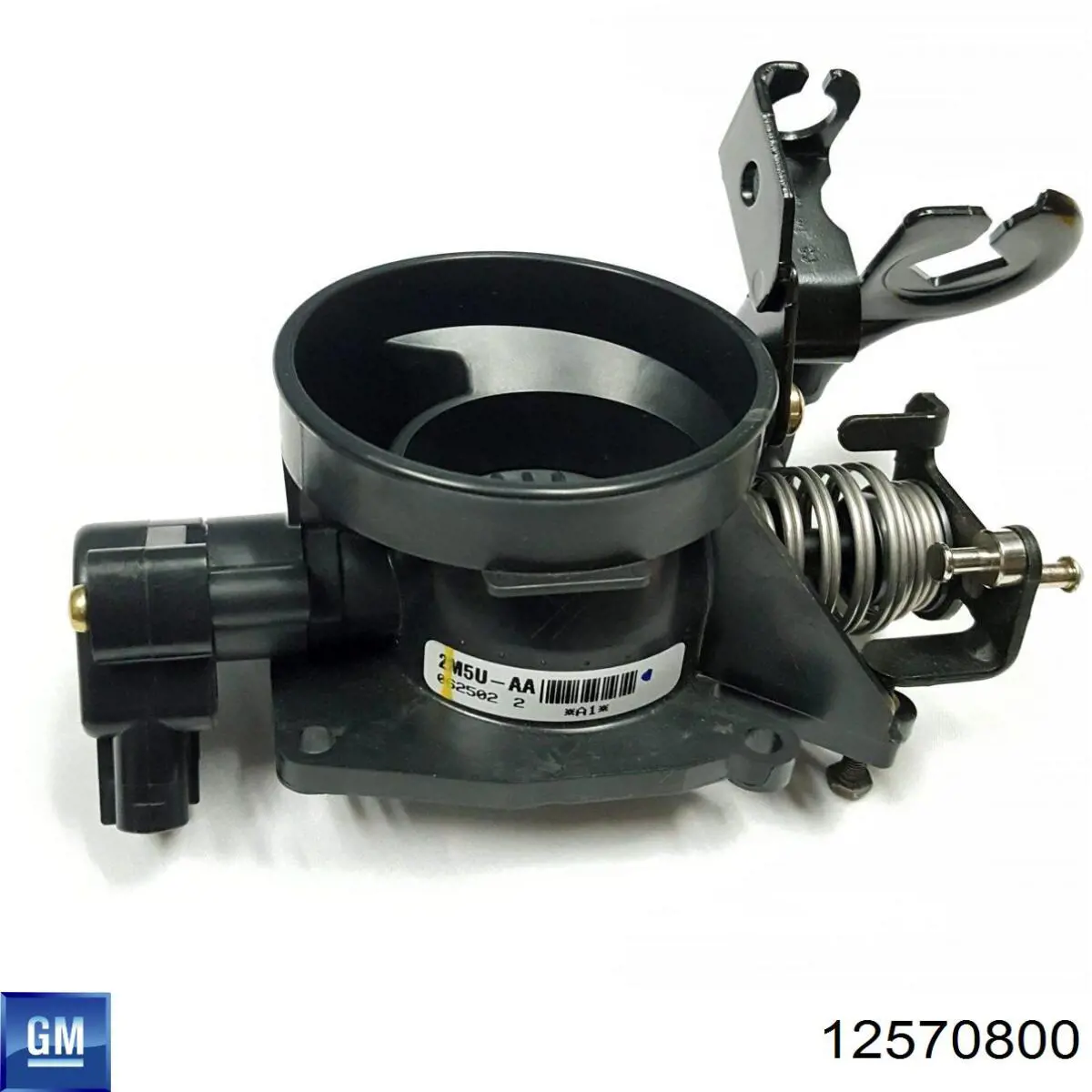 12570800 General Motors Przepustnica, komplet