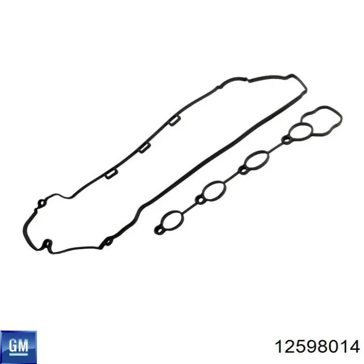12598014 General Motors Uszczelka pokrywy zaworowej silnika, zestaw