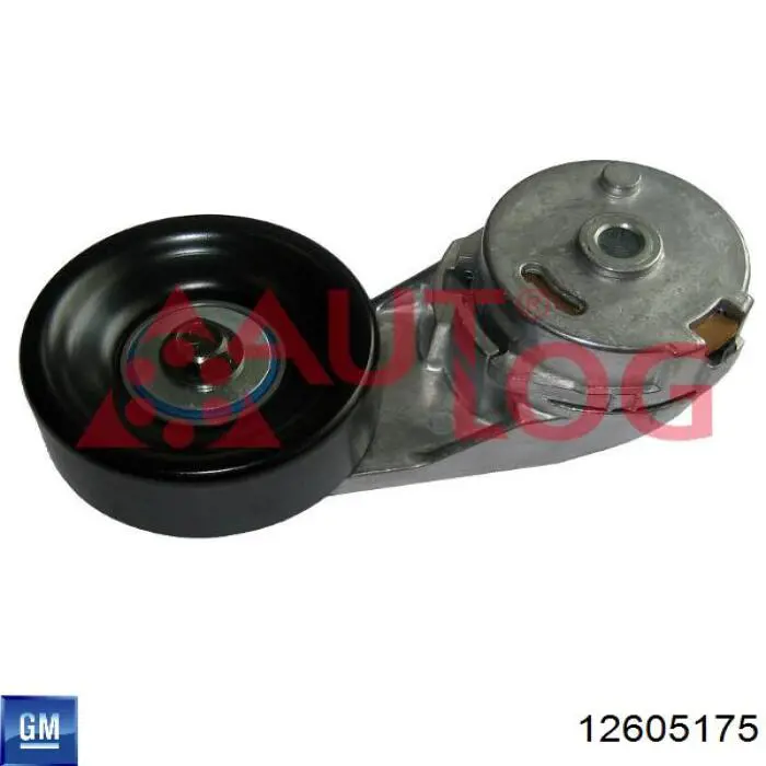Do koszyka 12605175 General Motors Napinacz paska napędowego