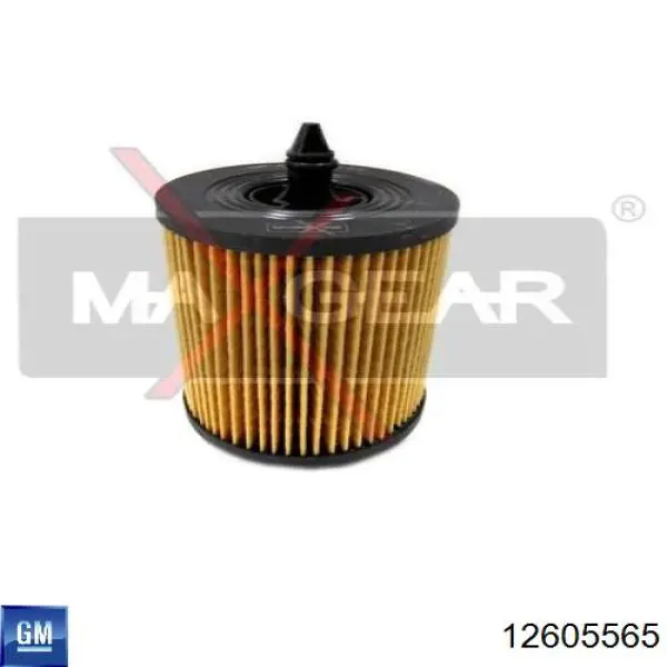 Do koszyka 12605565 General Motors Filtr oleju