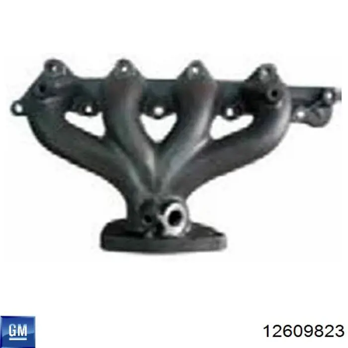 Kolektor wydechowy General Motors 12609823 cena, od 91,17 USD