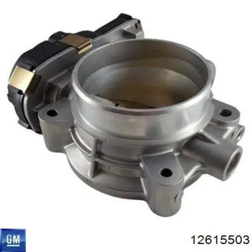 12615503 General Motors Przepustnica, komplet