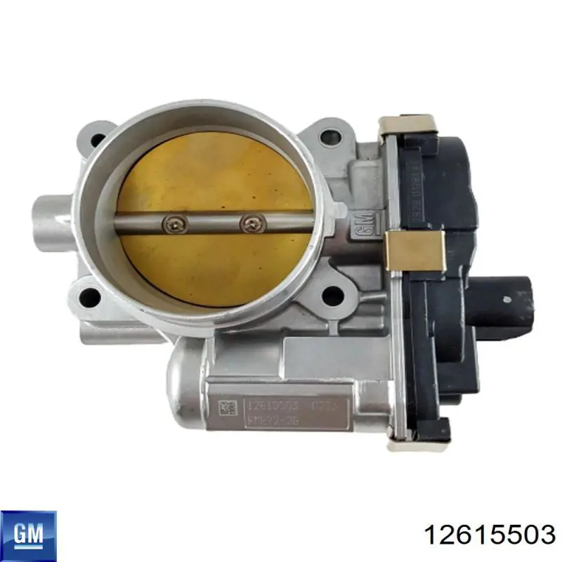 Przepustnica, komplet General Motors 12615503 cena, od 422,53 USD