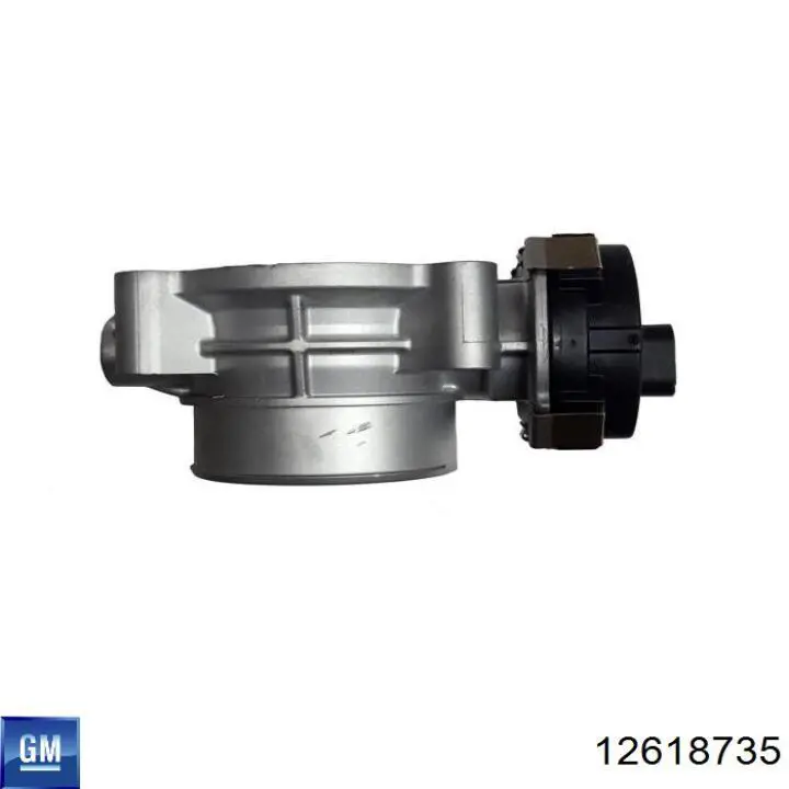 Przepustnica, komplet 12618735 General Motors