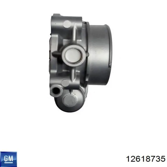 Do koszyka 12618735 General Motors Przepustnica, komplet