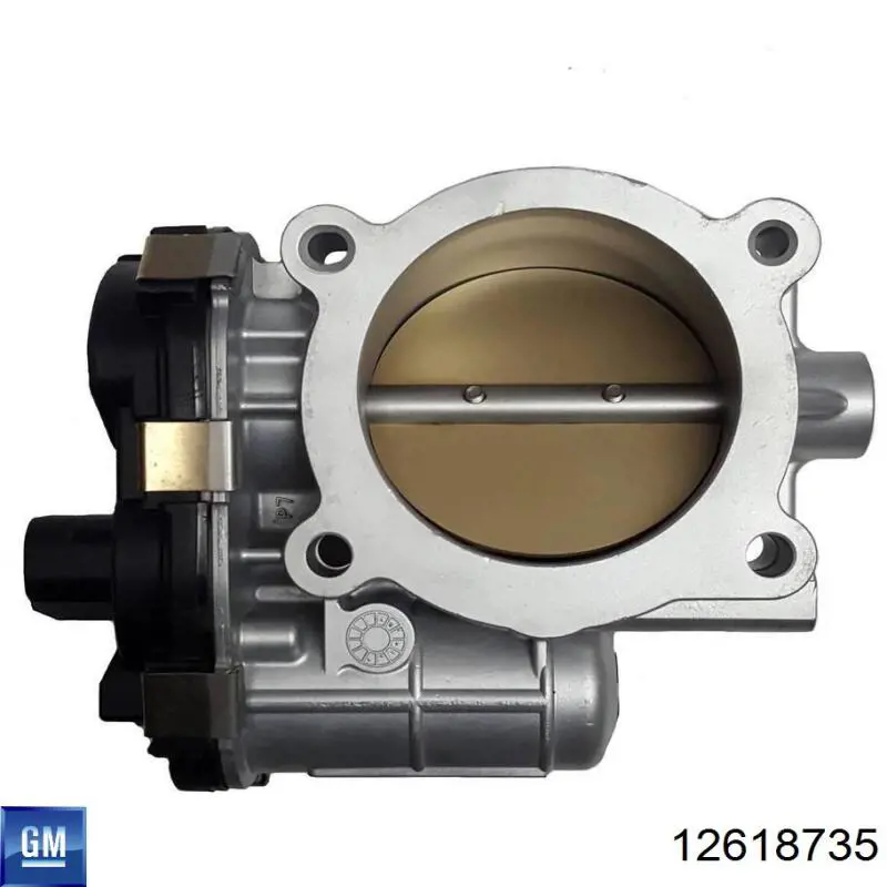 12618735 General Motors Przepustnica, komplet