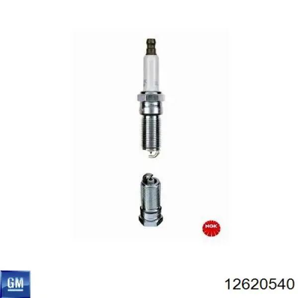 Świeca zapłonowa General Motors 12620540 cena, od 19,07 USD