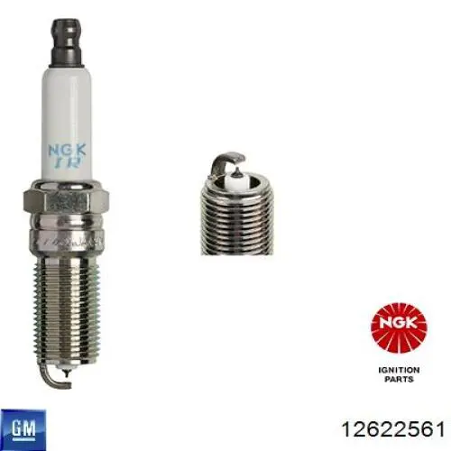 Świeca zapłonowa General Motors 12622561 cena, od 16,23 USD