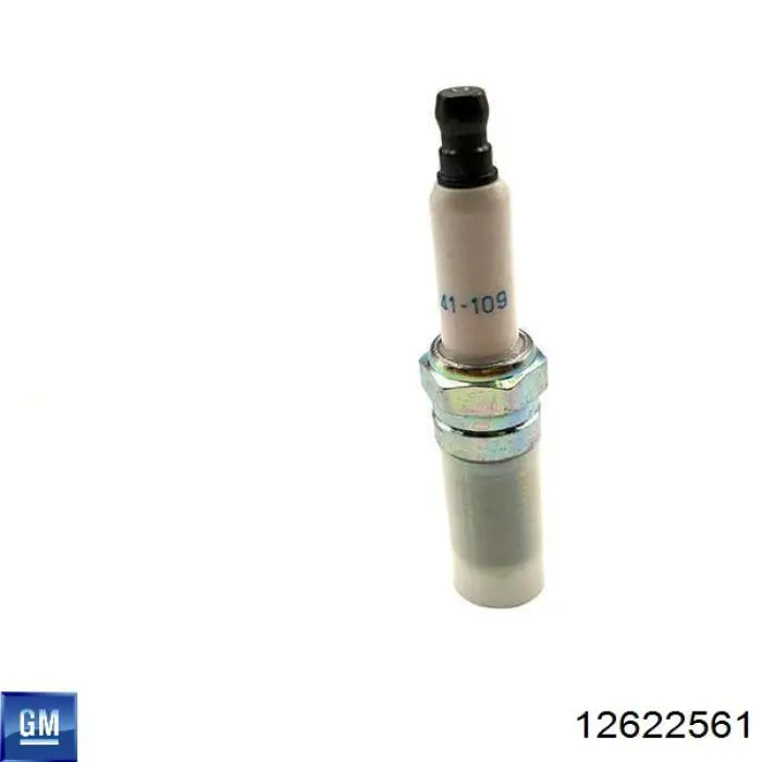Świeca zapłonowa General Motors 12622561