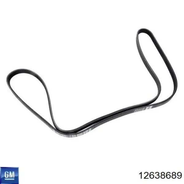 Do koszyka 12638689 General Motors Napinacz paska napędowego