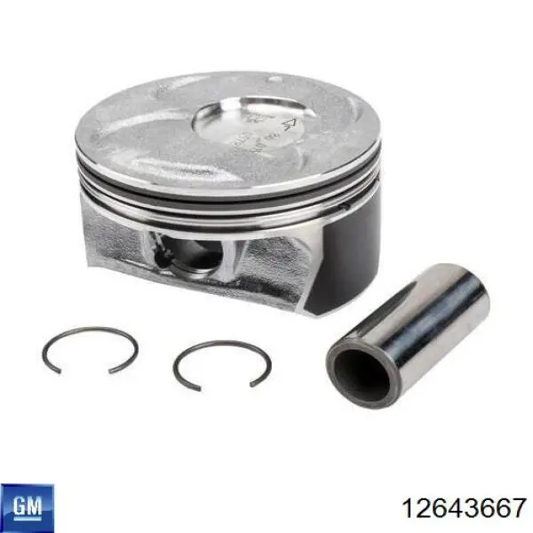Panewki korbowodowe wału korbowego, zestaw, standardowe (STD) General Motors 12643667 cena, od 56,91 USD