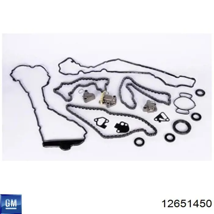 12651450 General Motors Łańcuch rozrządu, zestaw