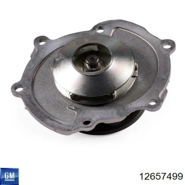 Pompa chłodząca wodna General Motors 12657499 cena, od 47,27 USD