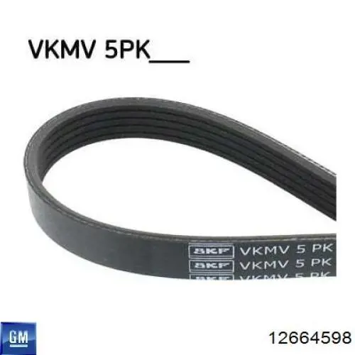 Do koszyka 12664598 General Motors Pas napędowy mechanizmów