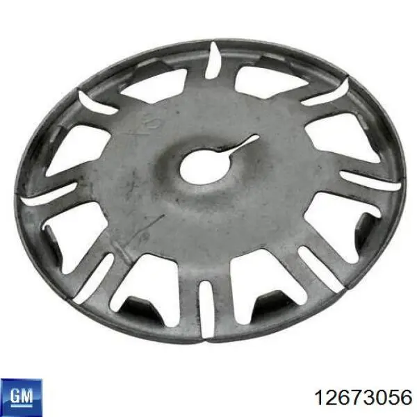  General Motors 12673056