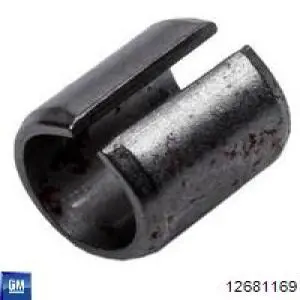 Pompa chłodząca wodna General Motors 12681169
