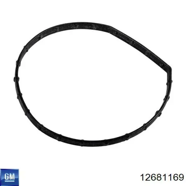 Pompa chłodząca wodna General Motors 12681169 cena, od 52,22 USD
