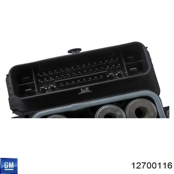 Sterownik silnika General Motors 12700116 cena, od 85,33 USD