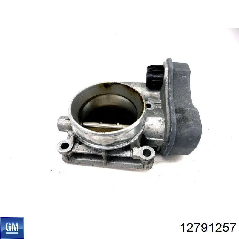 Do koszyka 93174608 Opel Przepustnica, komplet