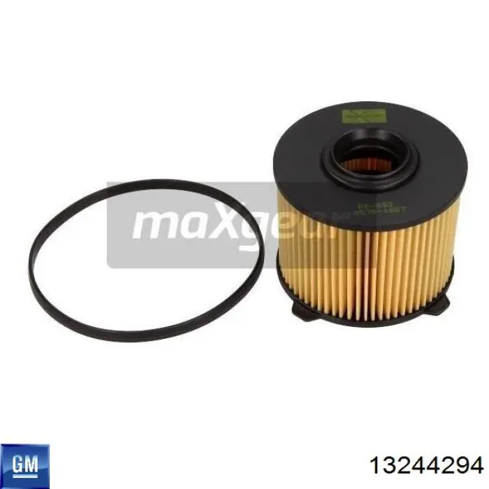 Do koszyka 13244294 General Motors Filtr paliwa