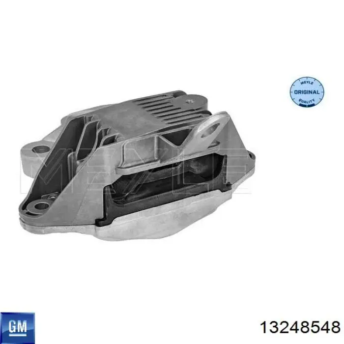 13248548 General Motors Poduszka (podpora) silnika lewa
