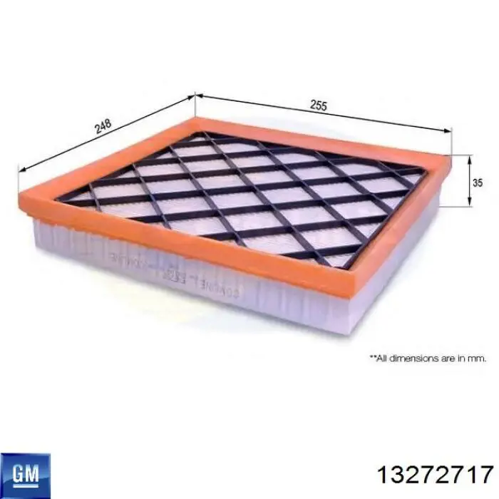Filtr powietrza General Motors 13272717