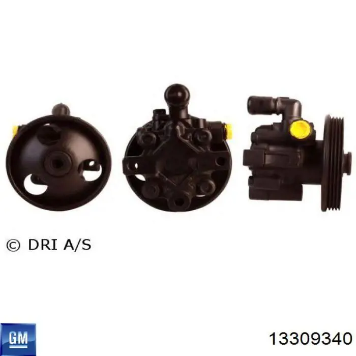 Pompa wspomagania hydraulicznego kierownicy 13309335 General Motors