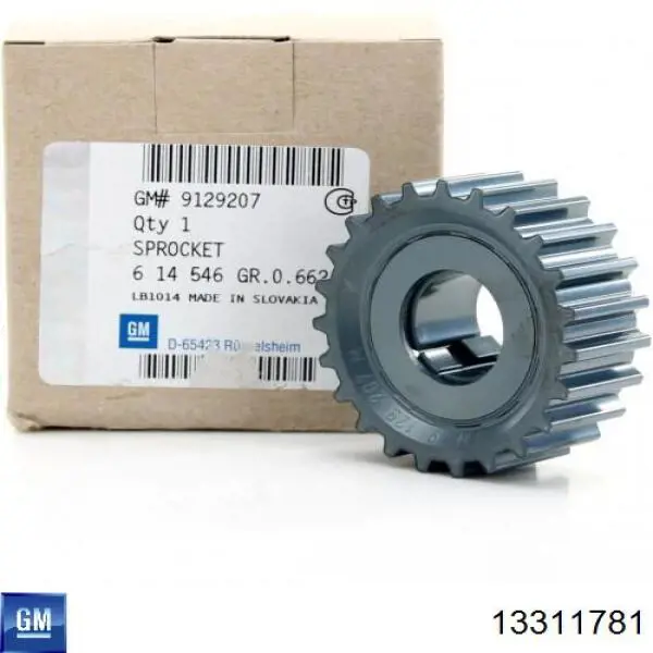  General Motors 13311781