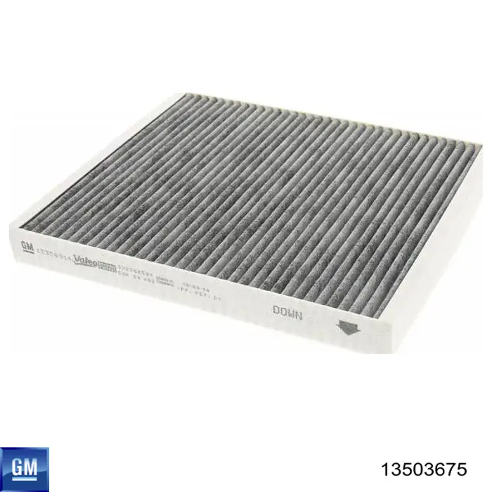 13503675 General Motors Filtr kabiny