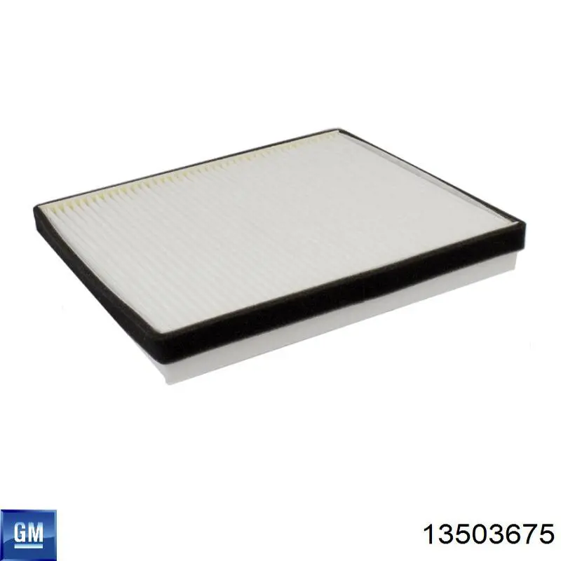 Filtr kabiny General Motors 13503675 cena, od 10,24 USD