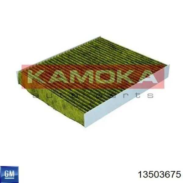 Filtr kabiny General Motors 13503675