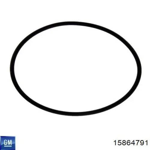 15864791 General Motors Uszczelniacz końcówki reduktora mostu tylnego