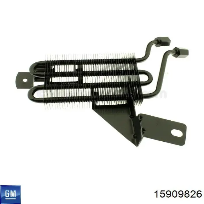  General Motors 15909826