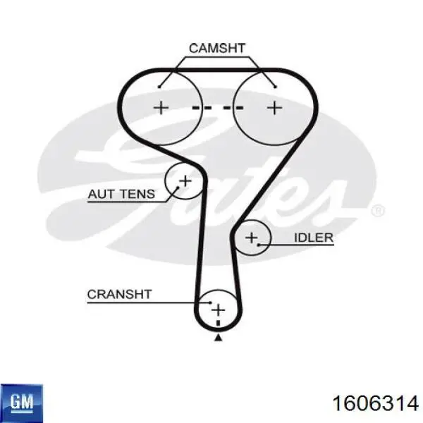1606314 General Motors pasek rozrządu, zestaw