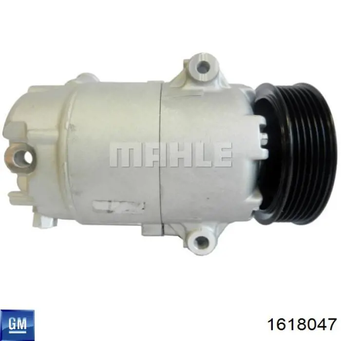 Sprężarka klimatyzacji General Motors 1618047 cena, od 216,23 USD