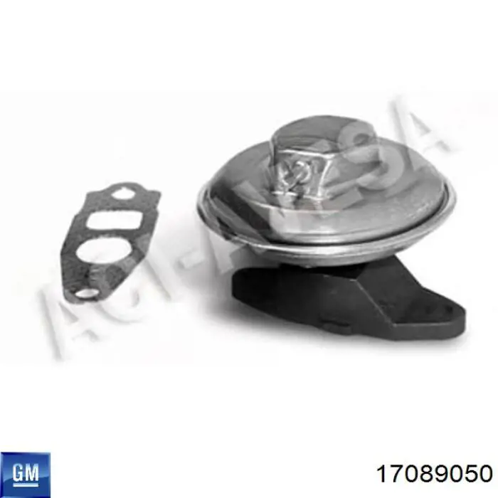 Zawór recyrkulacji spalin EGR General Motors 17089050 cena, od 37,52 USD