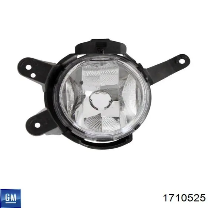 Lampa przeciwmgielna lewa 1710525 General Motors