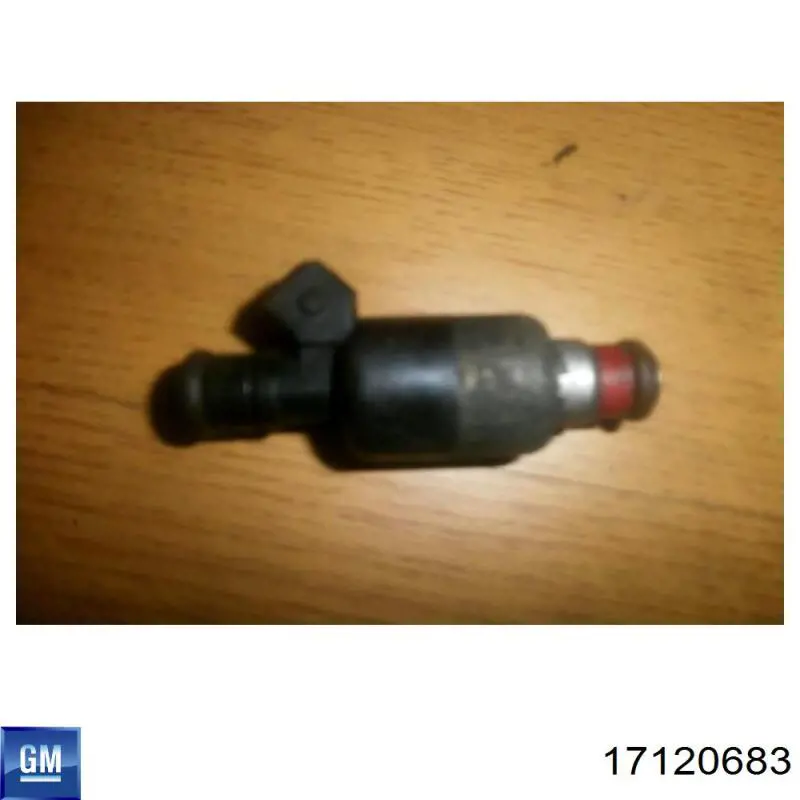 Do koszyka 25171743 General Motors Wtryskiwacz paliwa