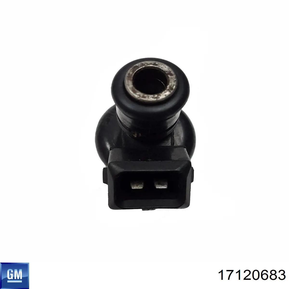 25171743 General Motors Wtryskiwacz paliwa