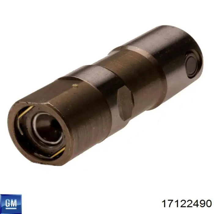 17122490 General Motors Kompensator hydrauliczny (popychacz hydrauliczny), popychacz zaworu