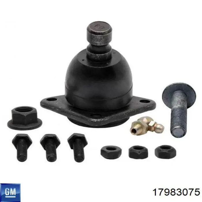 Do koszyka 17983075 General Motors Sworzeń wahacza dolny