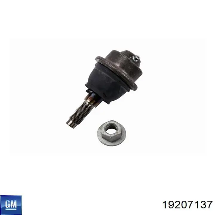 Sworzeń wahacza dolny 19207137 General Motors