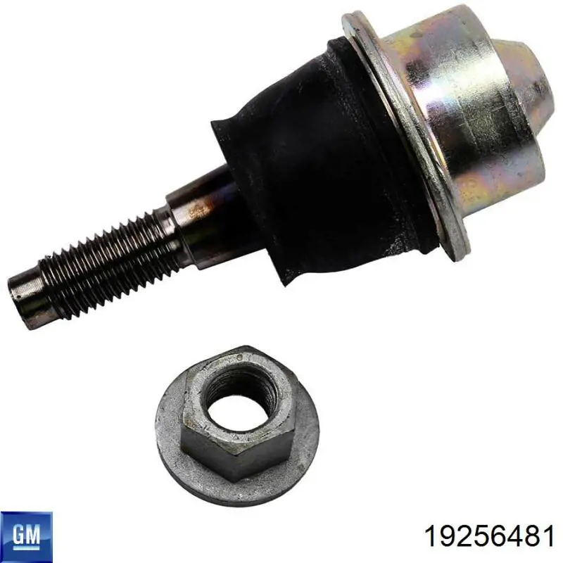Sworzeń wahacza dolny General Motors 19256481 cena, od 36,70 USD