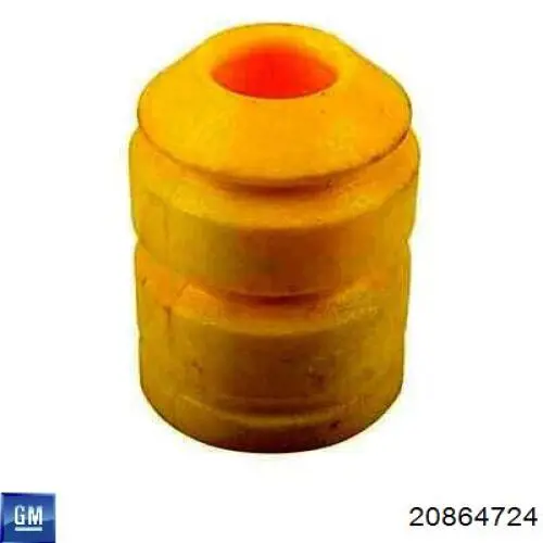  General Motors 20864724