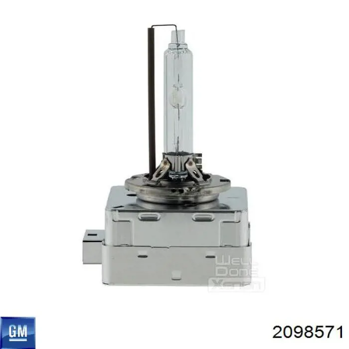 2098571 General Motors Żarówka ksenonowa