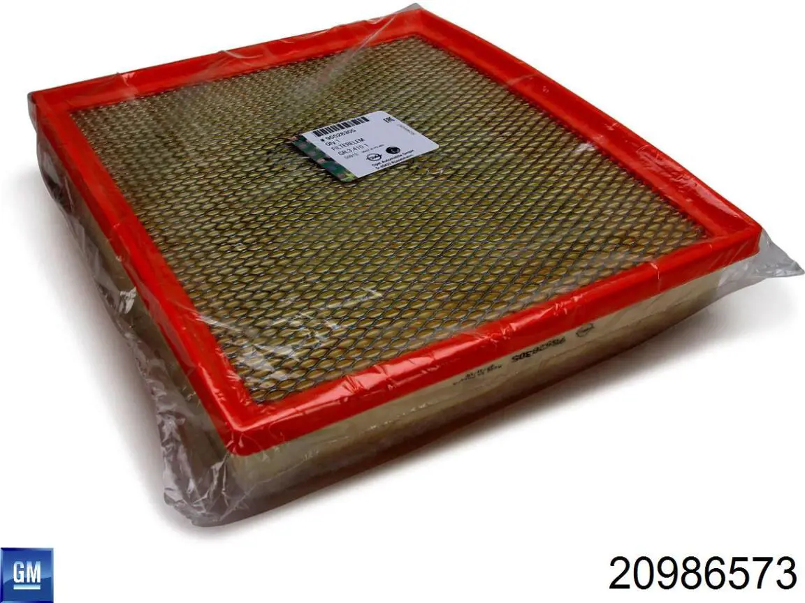 2006273 Borg-Warner Filtr reduktora tylnego (sprzęgła Haldex)