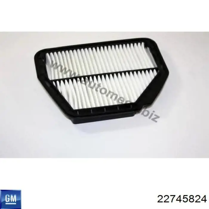 Filtr powietrza General Motors 22745824 cena, od 15,76 USD