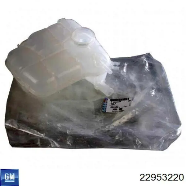 22953220 General Motors Zbiorniczek wyrównawczy układu chłodzenia